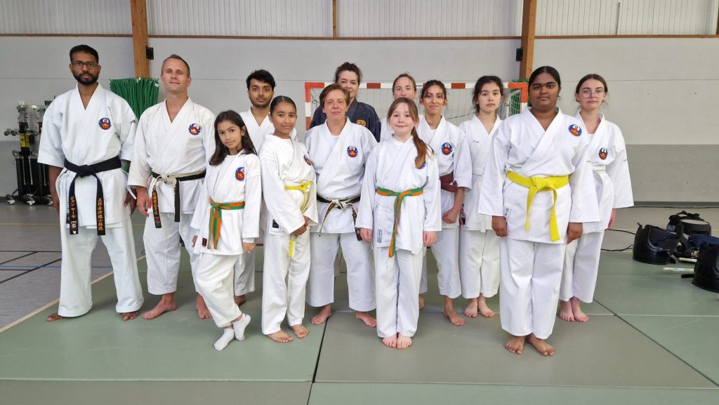 Stage-Karate-Courdimanche.png